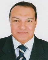 Eng. Mohamed H. Amer